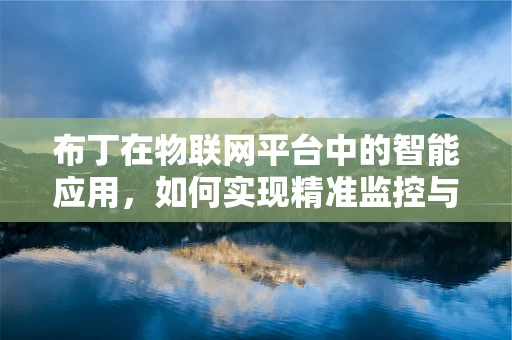 布丁在物联网平台中的智能应用，如何实现精准监控与数据分析？