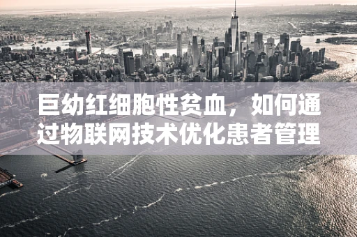巨幼红细胞性贫血，如何通过物联网技术优化患者管理与治疗？