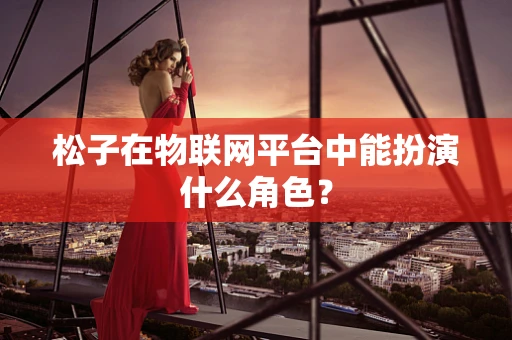 松子在物联网平台中能扮演什么角色？