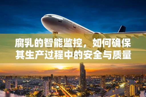 腐乳的智能监控，如何确保其生产过程中的安全与质量？