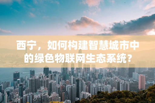 西宁，如何构建智慧城市中的绿色物联网生态系统？