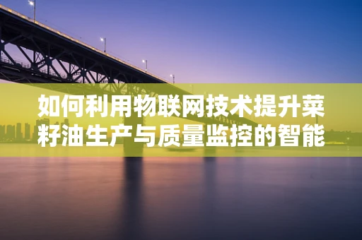 如何利用物联网技术提升菜籽油生产与质量监控的智能化水平？