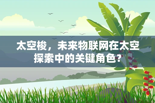 太空梭，未来物联网在太空探索中的关键角色？