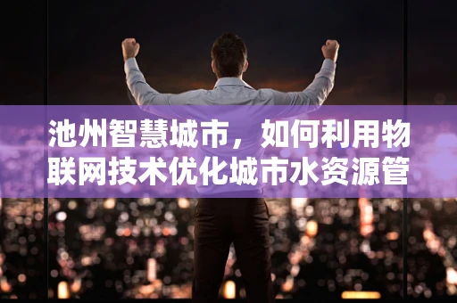 池州智慧城市，如何利用物联网技术优化城市水资源管理？