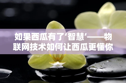 如果西瓜有了‘智慧’——物联网技术如何让西瓜更懂你？