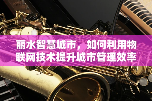 丽水智慧城市，如何利用物联网技术提升城市管理效率？