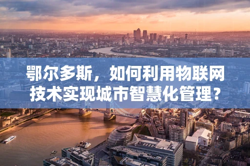 鄂尔多斯，如何利用物联网技术实现城市智慧化管理？