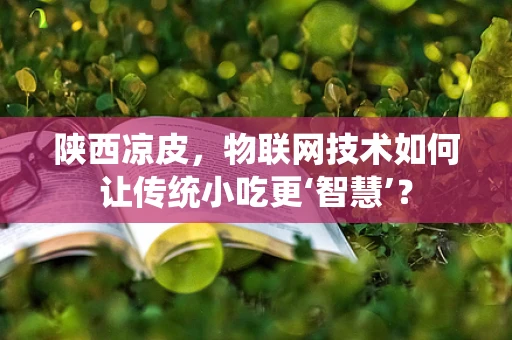 陕西凉皮，物联网技术如何让传统小吃更‘智慧’？