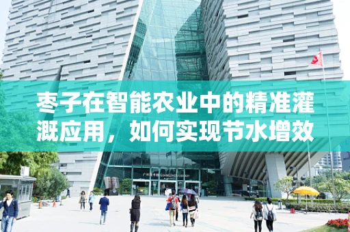 枣子在智能农业中的精准灌溉应用，如何实现节水增效？
