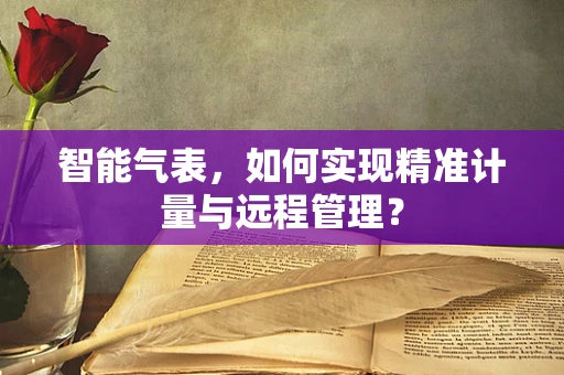智能气表，如何实现精准计量与远程管理？