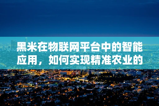 黑米在物联网平台中的智能应用，如何实现精准农业的‘黑科技’？