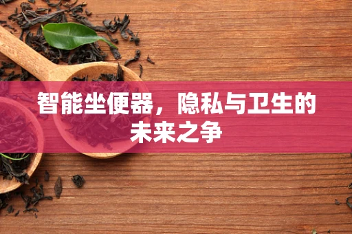 智能坐便器，隐私与卫生的未来之争