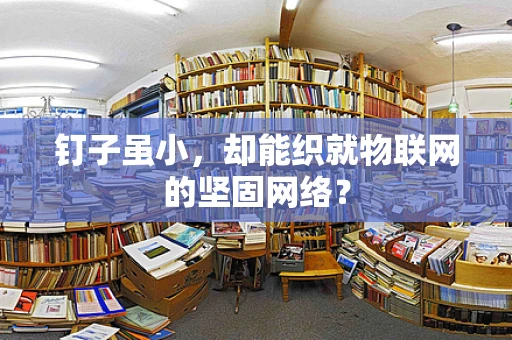 钉子虽小，却能织就物联网的坚固网络？