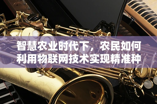 智慧农业时代下，农民如何利用物联网技术实现精准种植？