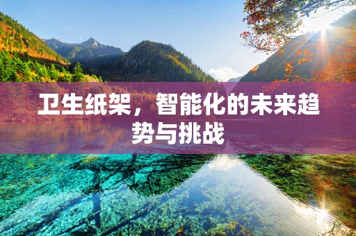 卫生纸架，智能化的未来趋势与挑战