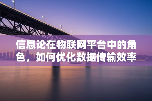 信息论在物联网平台中的角色，如何优化数据传输效率？