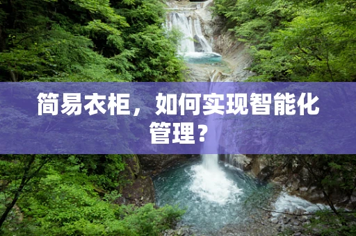 简易衣柜，如何实现智能化管理？