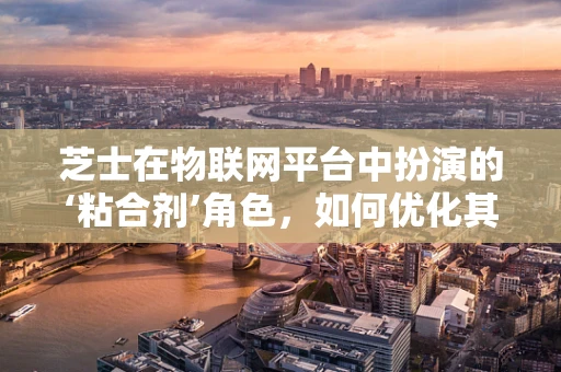 芝士在物联网平台中扮演的‘粘合剂’角色，如何优化其数据传输效率？