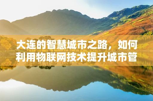 大连的智慧城市之路，如何利用物联网技术提升城市管理效率？