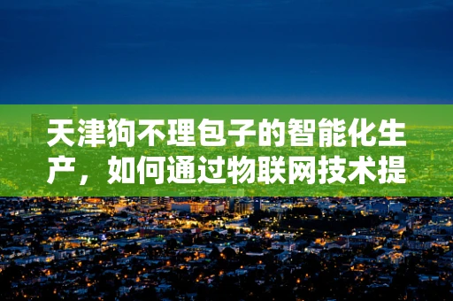 天津狗不理包子的智能化生产，如何通过物联网技术提升效率与质量？