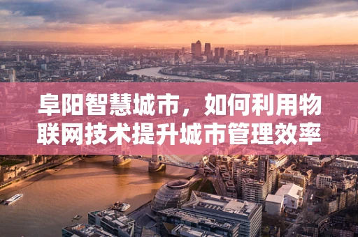 阜阳智慧城市，如何利用物联网技术提升城市管理效率？