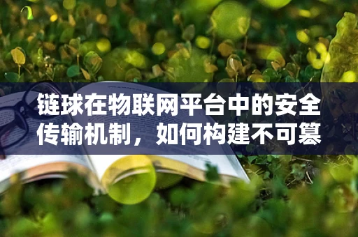 链球在物联网平台中的安全传输机制，如何构建不可篡改的数据链路？