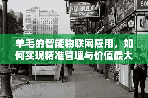 羊毛的智能物联网应用，如何实现精准管理与价值最大化？