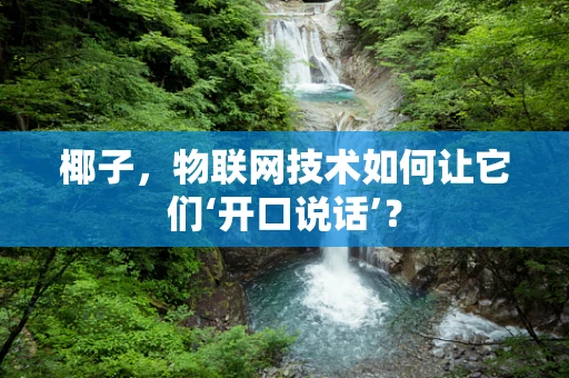 椰子，物联网技术如何让它们‘开口说话’？