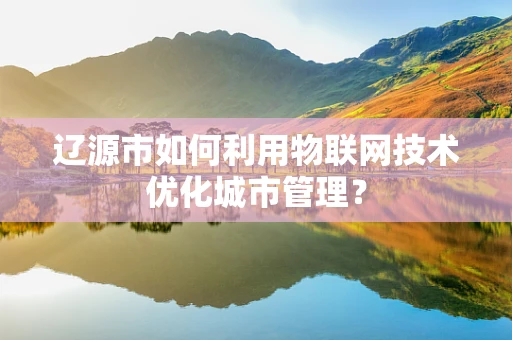 辽源市如何利用物联网技术优化城市管理？
