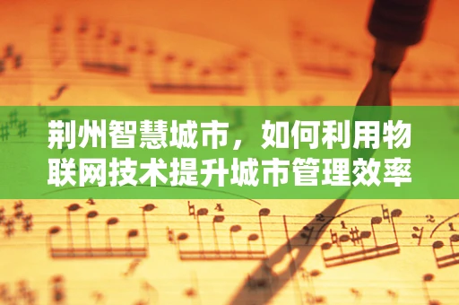 荆州智慧城市，如何利用物联网技术提升城市管理效率？