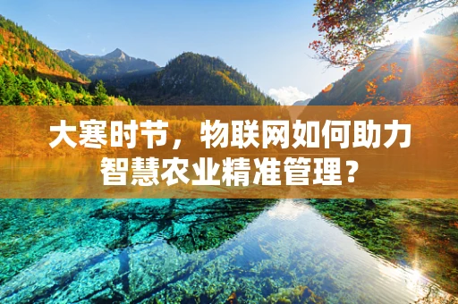 大寒时节，物联网如何助力智慧农业精准管理？