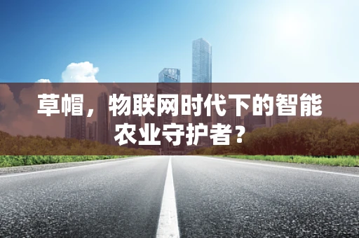 草帽，物联网时代下的智能农业守护者？