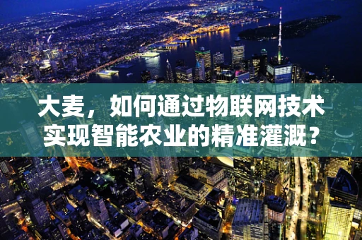 大麦，如何通过物联网技术实现智能农业的精准灌溉？