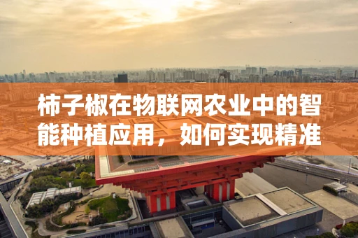 柿子椒在物联网农业中的智能种植应用，如何实现精准管理？