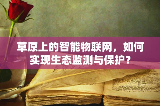 草原上的智能物联网，如何实现生态监测与保护？