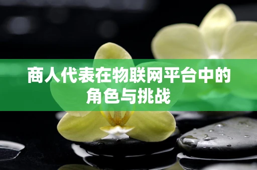 商人代表在物联网平台中的角色与挑战
