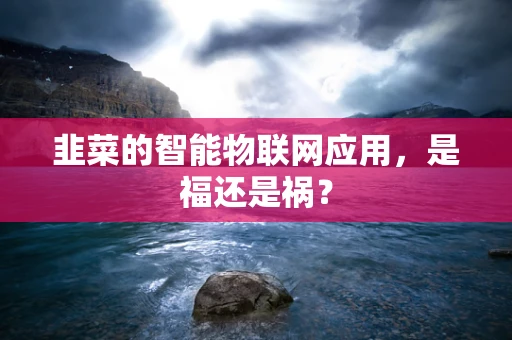 韭菜的智能物联网应用，是福还是祸？
