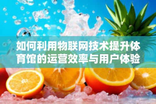 如何利用物联网技术提升体育馆的运营效率与用户体验？
