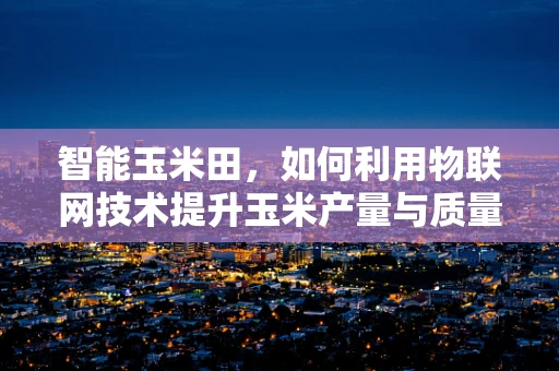 智能玉米田，如何利用物联网技术提升玉米产量与质量？