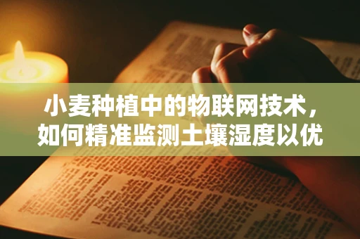 小麦种植中的物联网技术，如何精准监测土壤湿度以优化灌溉？