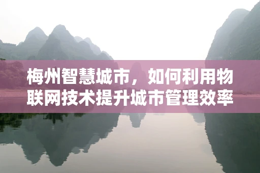 梅州智慧城市，如何利用物联网技术提升城市管理效率？
