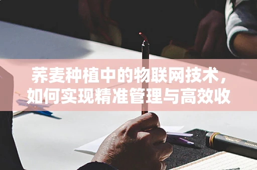 荞麦种植中的物联网技术，如何实现精准管理与高效收获？