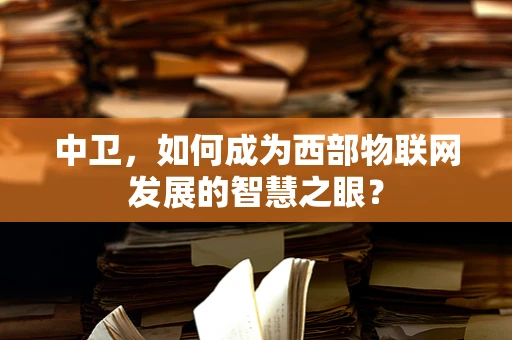 中卫，如何成为西部物联网发展的智慧之眼？