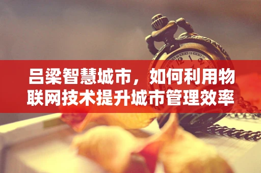 吕梁智慧城市，如何利用物联网技术提升城市管理效率？
