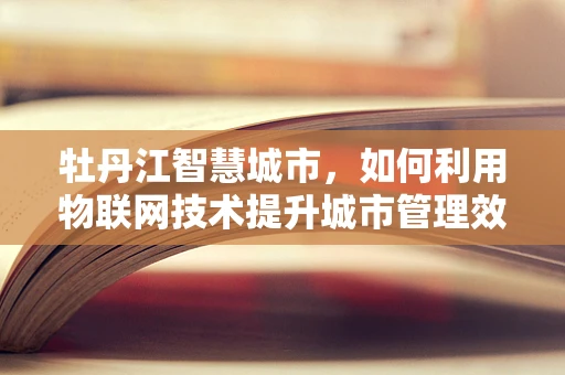 牡丹江智慧城市，如何利用物联网技术提升城市管理效率？