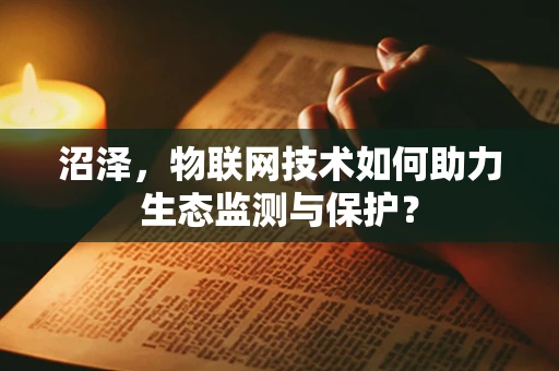 沼泽，物联网技术如何助力生态监测与保护？