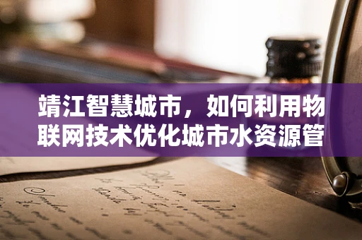 靖江智慧城市，如何利用物联网技术优化城市水资源管理？