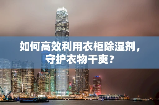如何高效利用衣柜除湿剂，守护衣物干爽？
