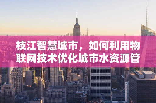 枝江智慧城市，如何利用物联网技术优化城市水资源管理？