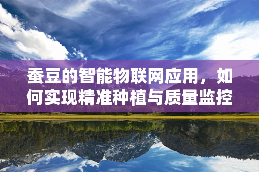 蚕豆的智能物联网应用，如何实现精准种植与质量监控？